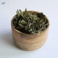 Nettle (Tops With Leaves)