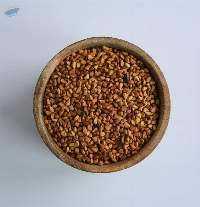Rosehip Seeds Organic