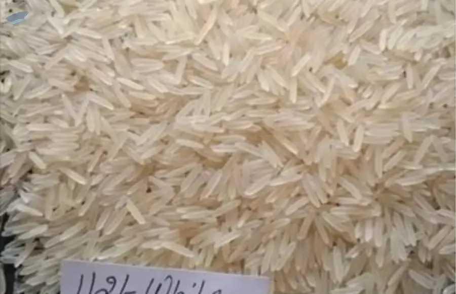 1509 Sella Basmati Rice