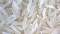 1718 Raw Basmati Rice