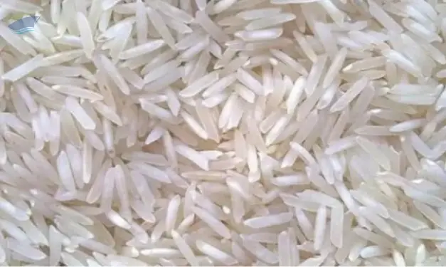 1718 Steam Basmati Rice