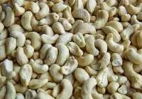Processed Cashew Nuts