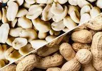 Peanuts