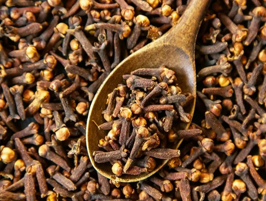 Exquisite Ceylon Clove