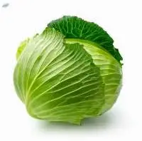 Cabbage