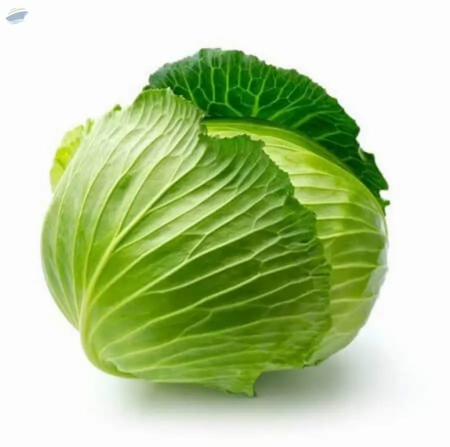 Cabbage