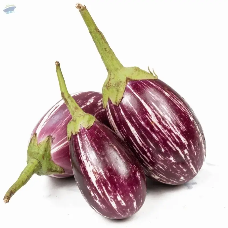 Brinjal
