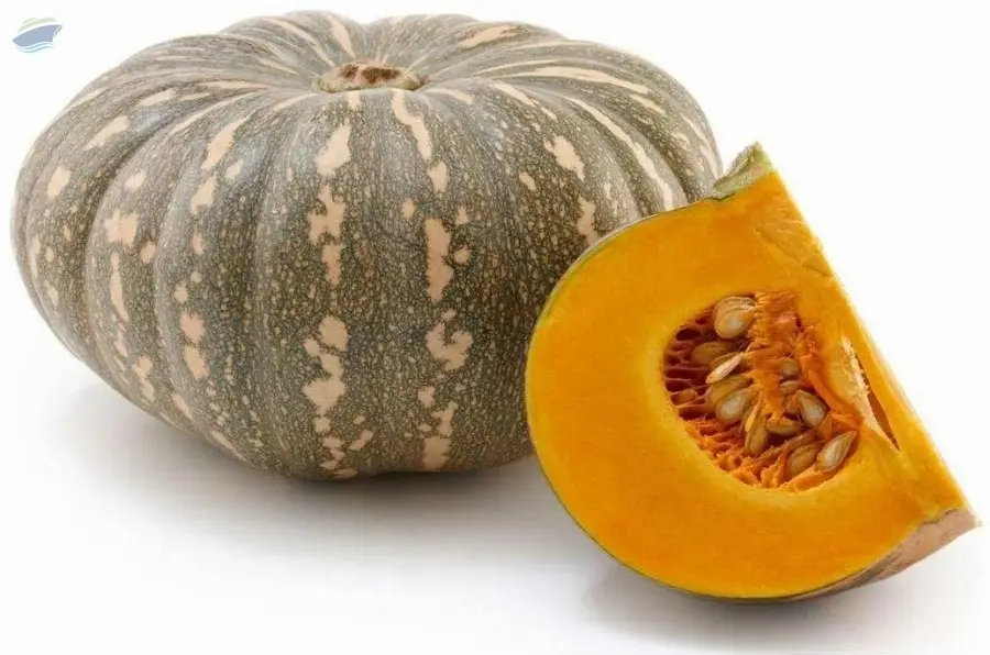 Pumpkin