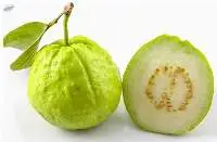 Guava