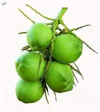 Green Coconut