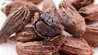 Black Cardamom