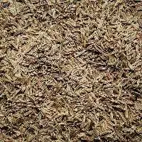 Caraway Seeds