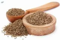 Carrom Seeds
