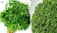 Dried Fenugreek Leaf