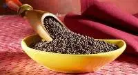 Brown and Yellow Mustard