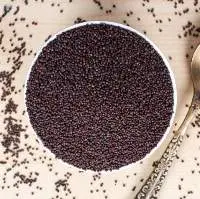 Black Mustard
