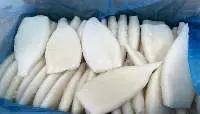 Squid tube , China origin