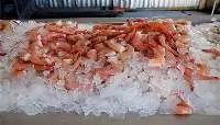 Pink Brown Prawns (Pandalus borealis)
