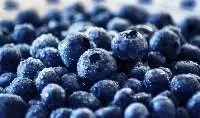 Blueberry