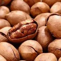 Pecan Nuts Kernels