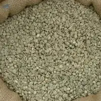 Green Arabica Coffee Beans For Sale