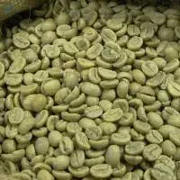 Quality Arabica Green Coffee Beans