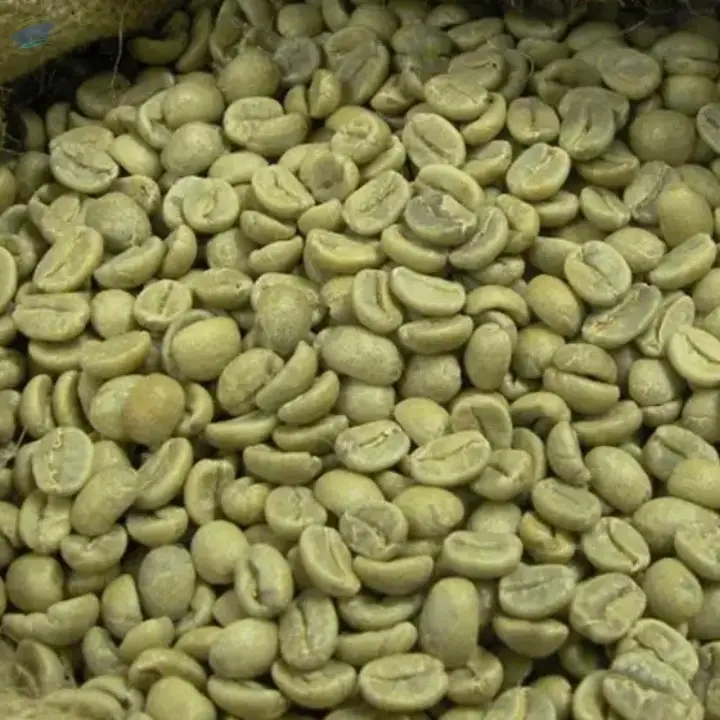 Quality Arabica Green Coffee Beans