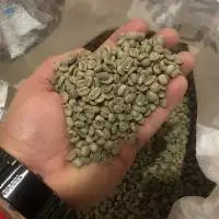 High Quality Arabica Green Coffee Beans