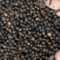 Black Pepper With Best Price