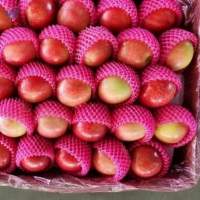 Fresh Red Apples
