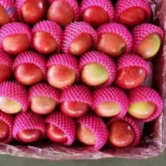 Fresh Red Apples