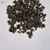 Sunflower Seeds, Black Unhulled