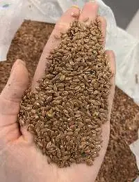 Organic Brown Line Seeds (Flax Seed)
