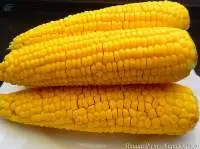 Yellow Corn. Origin Ukraine
