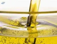 Crude Sunflower Oil