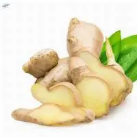 Ginger