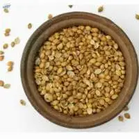 Coriander Seeds