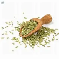 Fennel Seeds