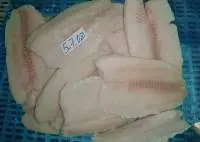 Black Tilapia Fillet