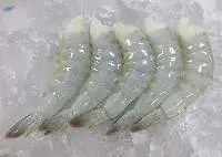 Raw HLSO Nannamei Shrimp