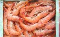 Cooked HOSO Vannamei Shrimp