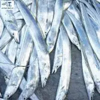 Fresh Hole Fish