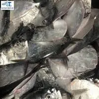 Rudder Fish