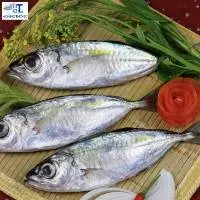 Whole Yellow Snapper
