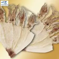Dried Squid