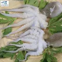 Whole Cuttlefish