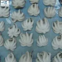 Whole Octopus