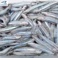 Anchovy