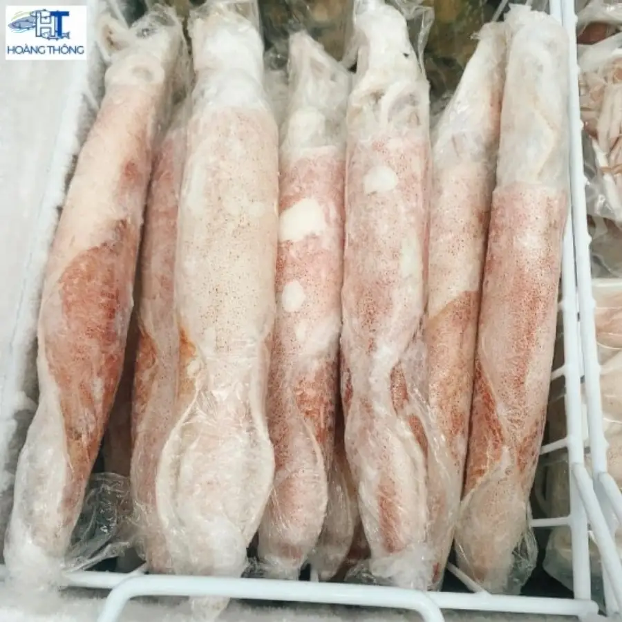 Squid