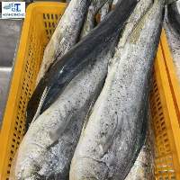 Filet Fish (mahi Mahi)